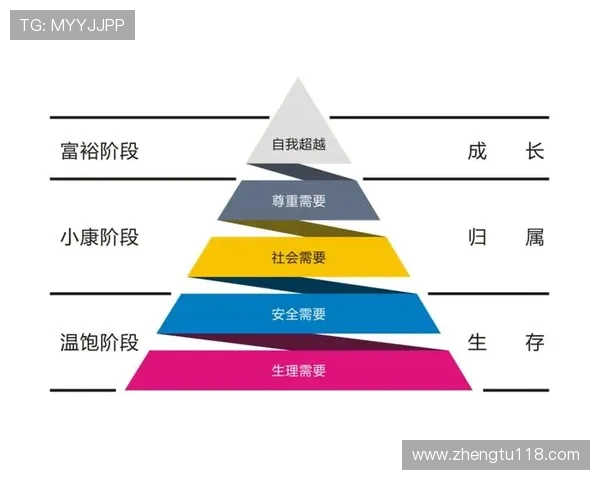 探索永乐国际网址的安全性与用户体验 探索永乐国际网址的安全性与用户体验